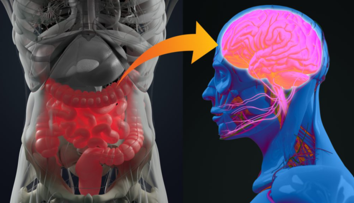 gut brain kerry