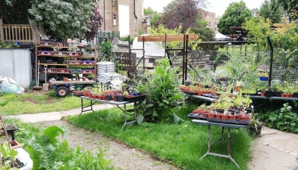 food-from-urban-agriculture-has-carbon-footprint-6-times-larger-than-conventional-produce-study-shows-Panel-D-UK-community-garden92-777x437
