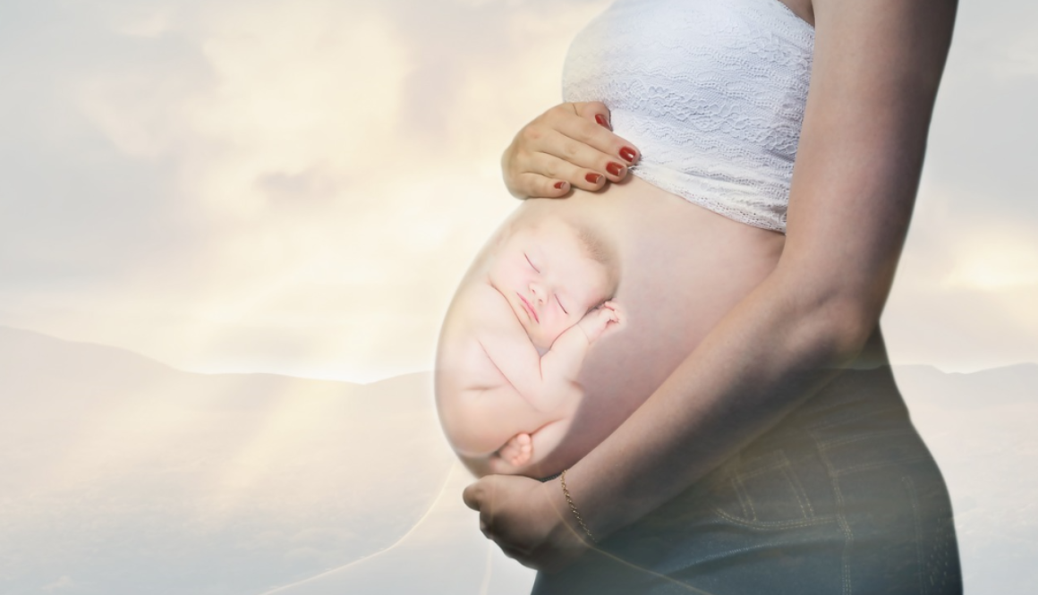 pregnant placenta pixa