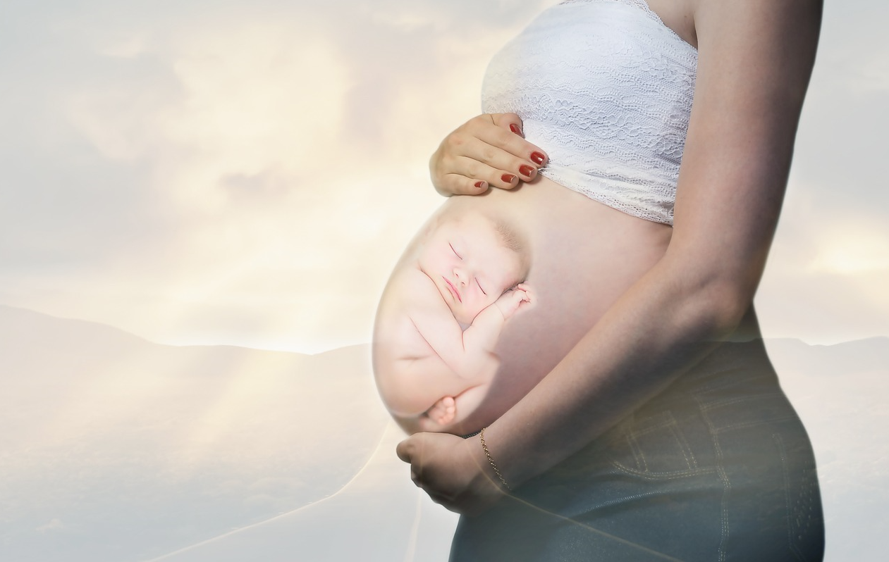 pregnant placenta pixa
