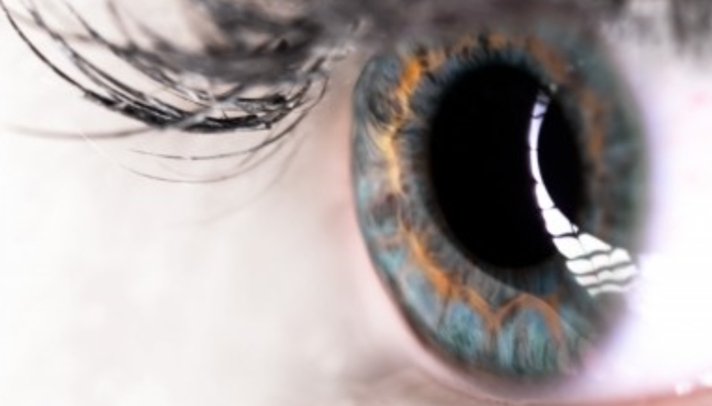 macular gmi