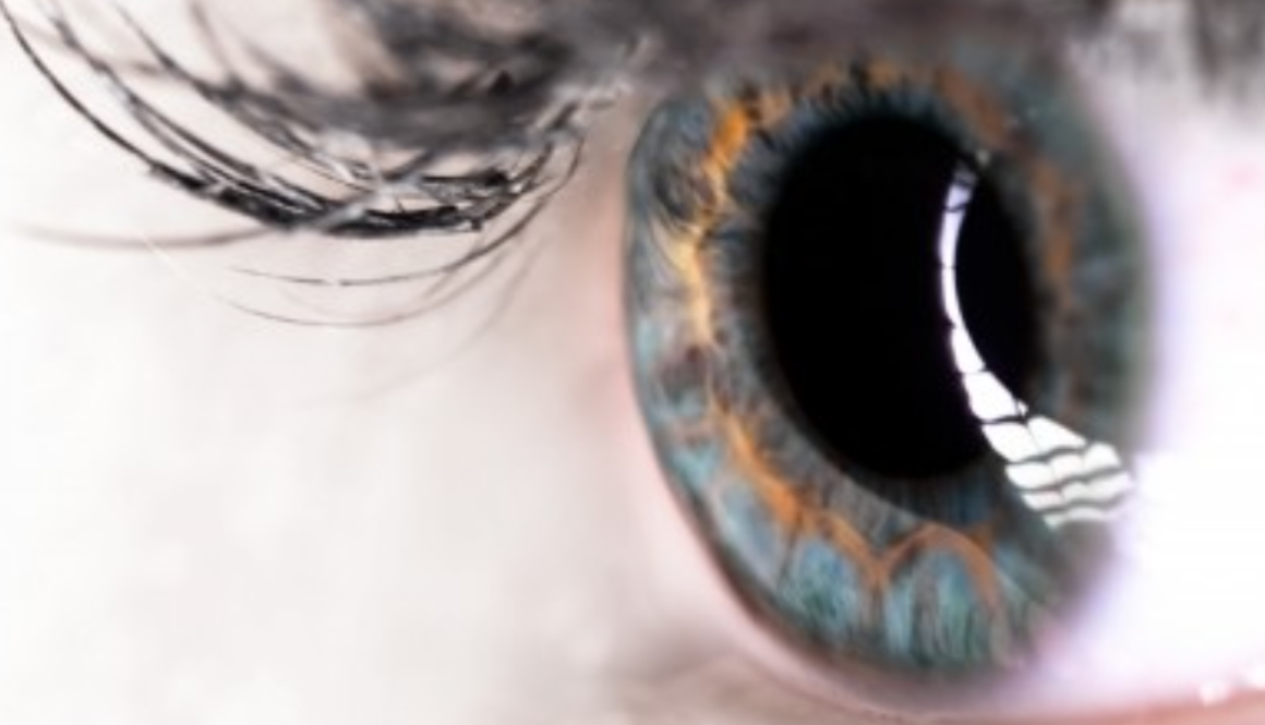 macular gmi