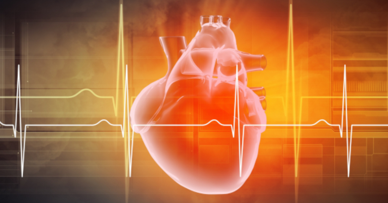 nanoplastics heart nanoplastics heart
