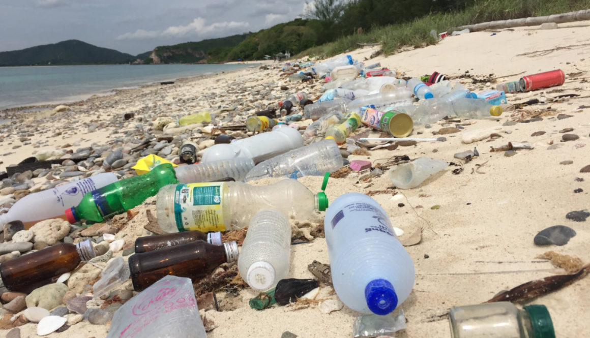 plastic pollution sf