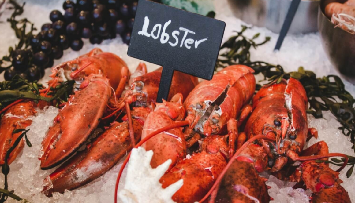 lobster unsplash