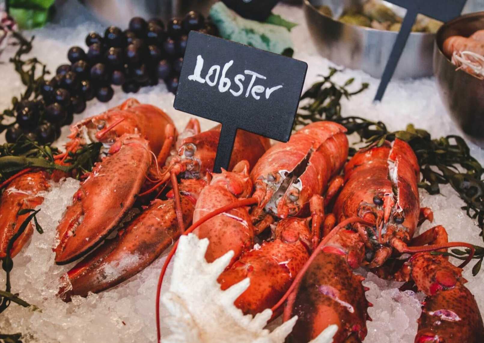 lobster unsplash