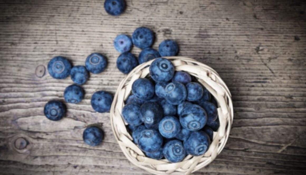 blueberry gmi