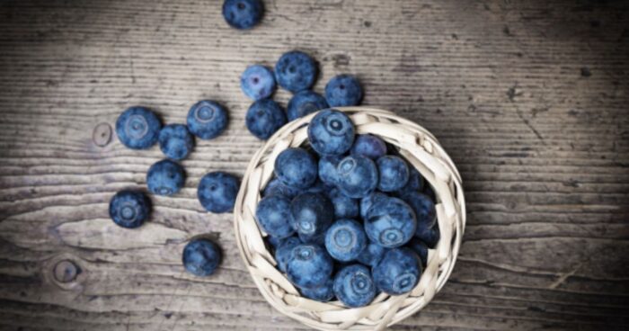 Blueberry’s Hidden Powers Revealed: 200+ Therapeutic Possibilities