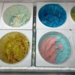 California Legislation on Food Dyes Is a First