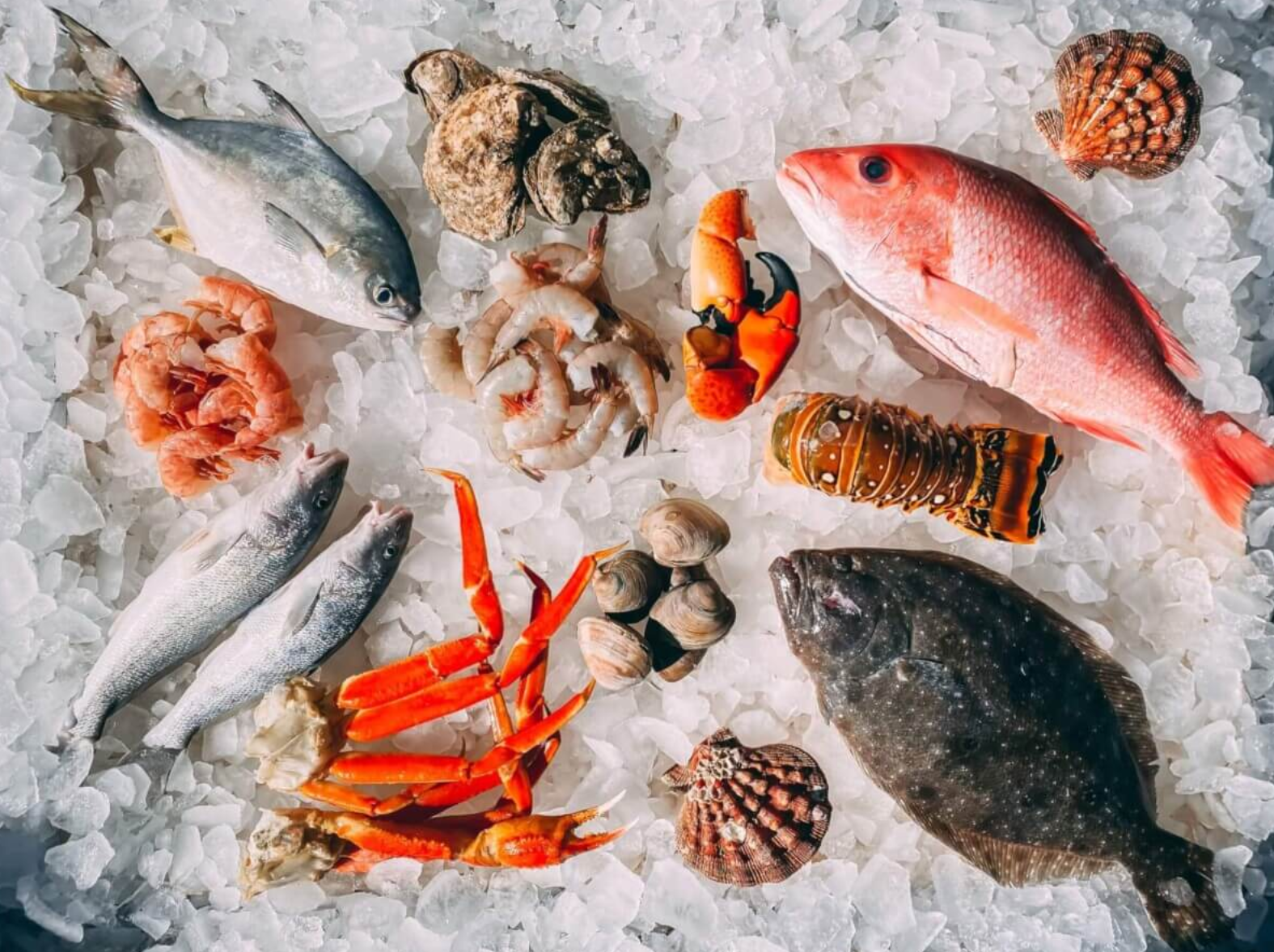 seafood mislabeled unsplash seafood mislabeled unsplash