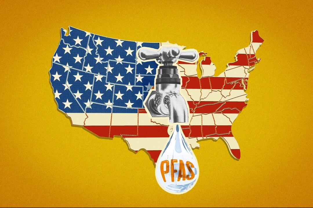 pfas zh pfas zh