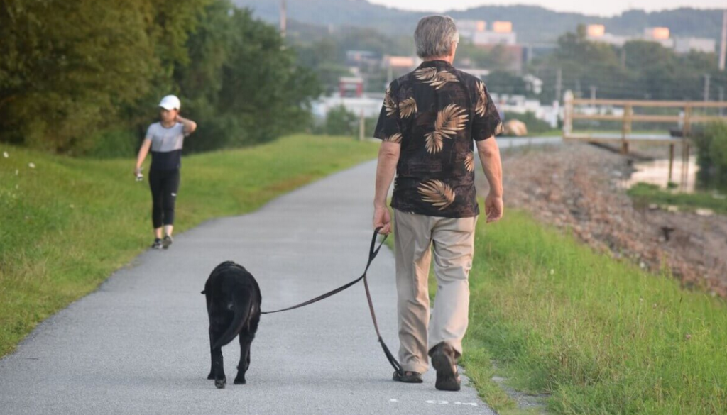 walking the dog