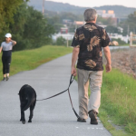 Simple, everyday movements like walking the dog can preserve brain health