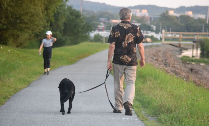 Simple, everyday movements like walking the dog can preserve brain health