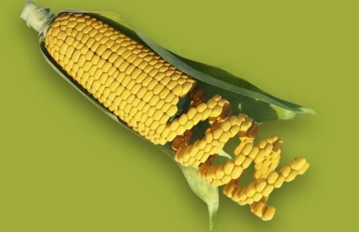 Biden Administration and ‘Mr. Monsanto’ Continue to Bully Mexico into Accepting GMO Corn