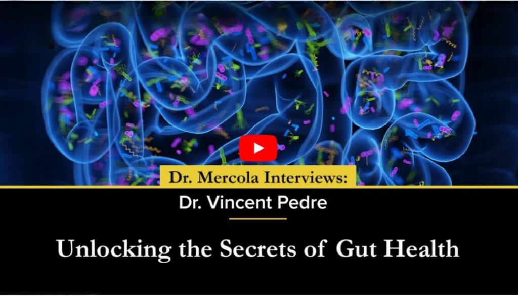 gut-health