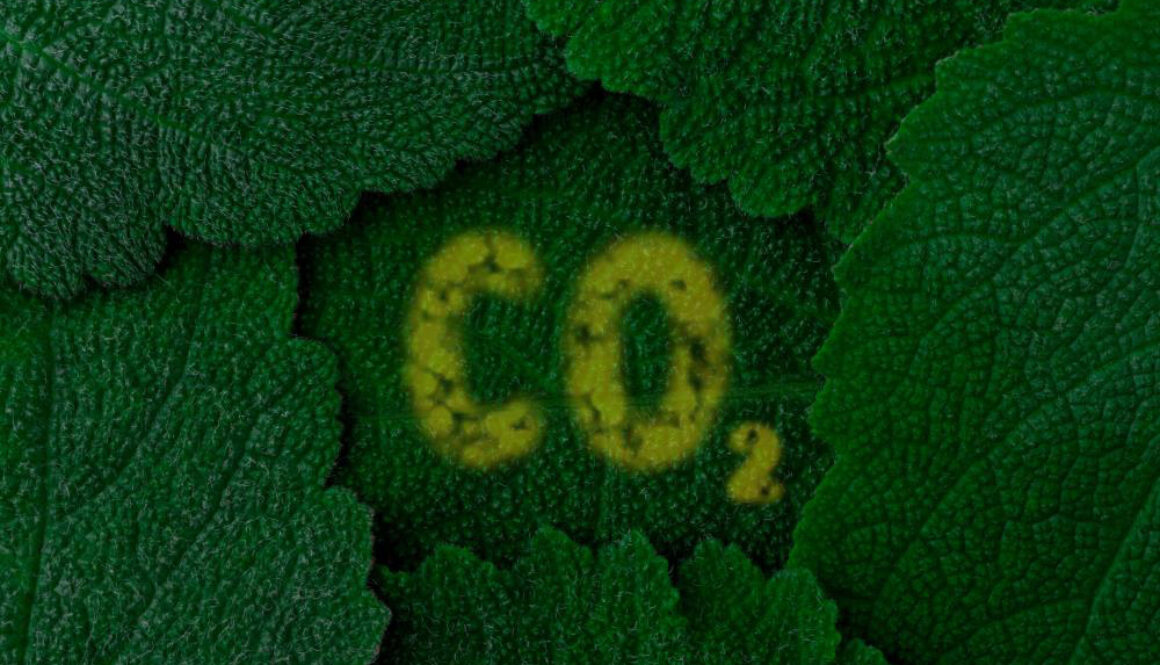 Carbon-Dioxide-Co2-Dark-Green-Leaves-Background-Close-Up