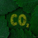 Decriminalizing carbon dioxide: The unraveling of EPA’s flawed Endangerment Finding