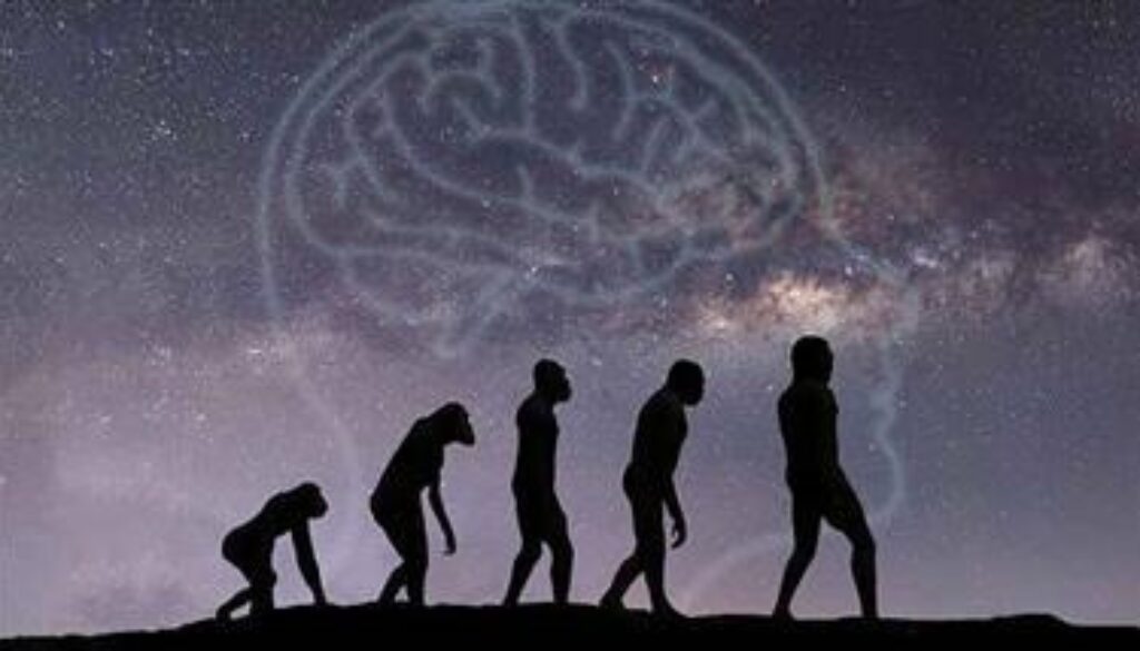 gut-microbes-primates