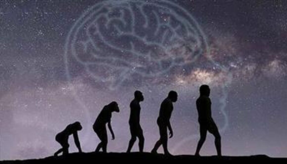 gut-microbes-primates