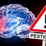 Studies Show How Pesticides May Lead to Brain Cancer