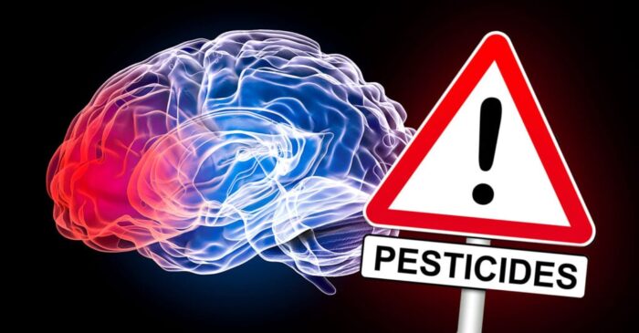 Studies Show How Pesticides May Lead to Brain Cancer