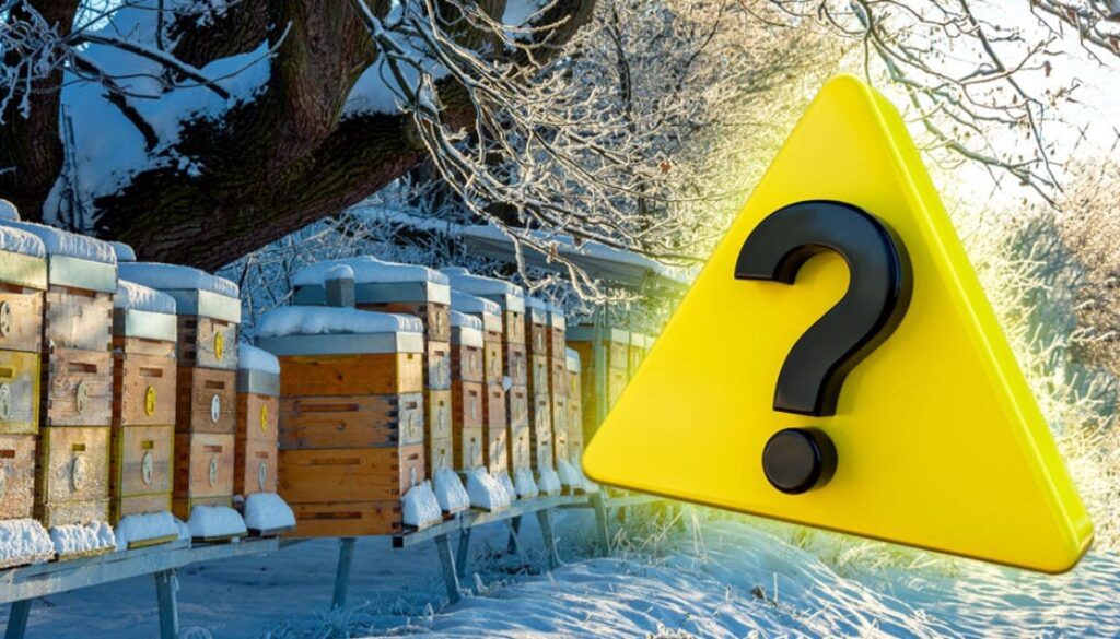 bee-colonies-collapsed-winter-feature-1024x534