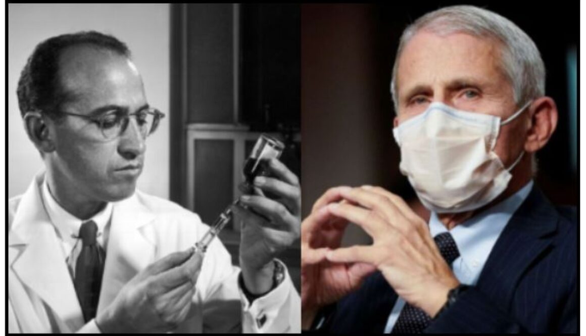salk-fauci-stock