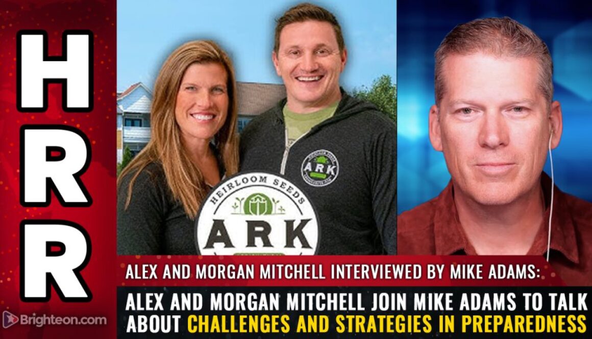 2025-03-31-BBN-Interview-with-ARK