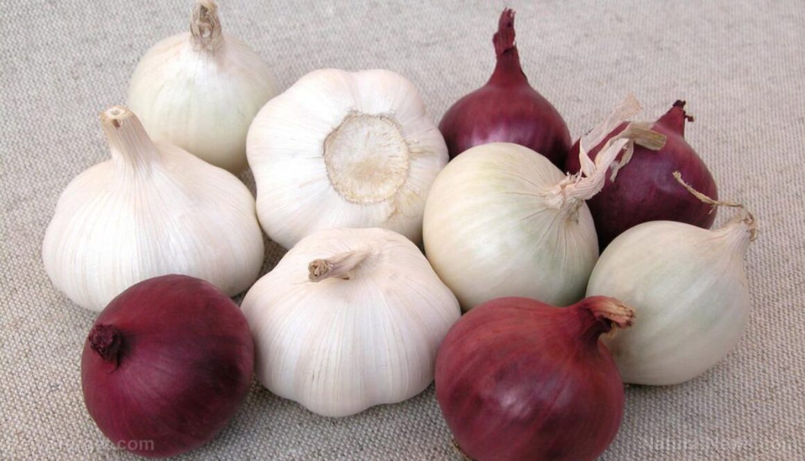Onions-Garlic-Vegetables