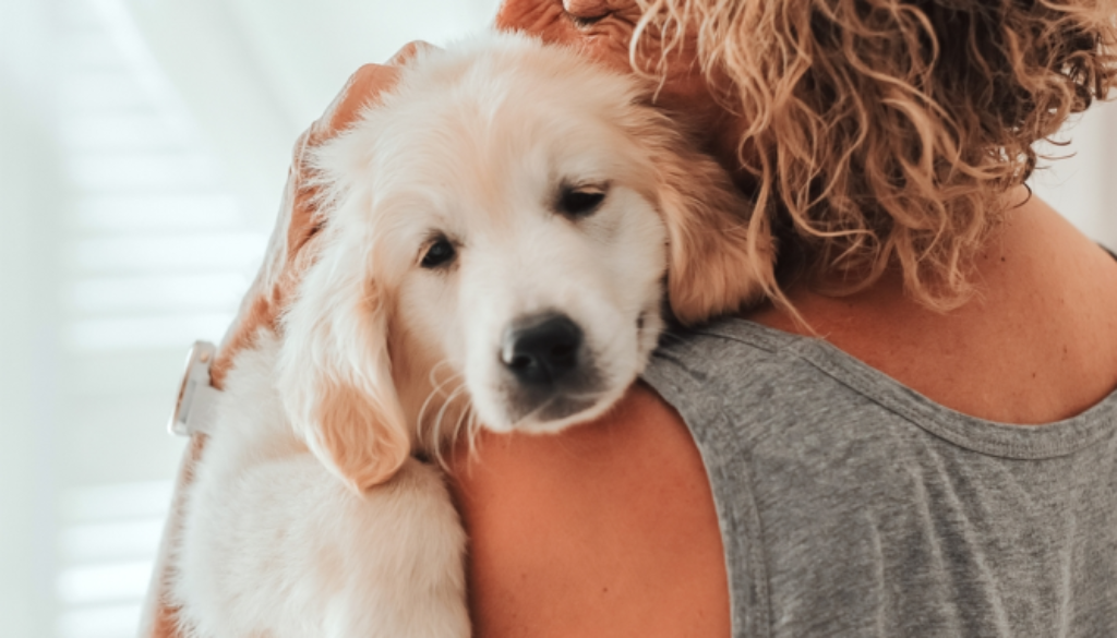 Pets-relieve-stress