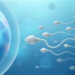 Men with Healthier Sperm Tend to Live Longer, Study Finds