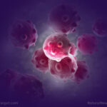 William L. Fischer’s “How to Fight Cancer and Win” offers hope in the fight against cancer