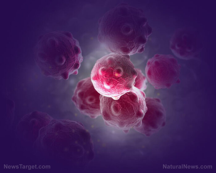 William L. Fischer’s “How to Fight Cancer and Win” offers hope in the fight against cancer