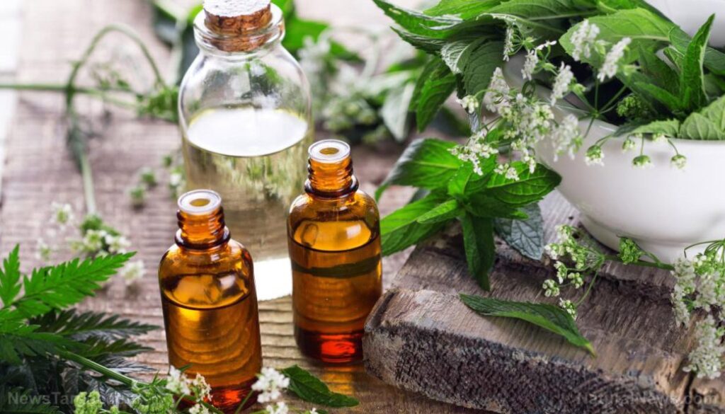 Oil-Plants