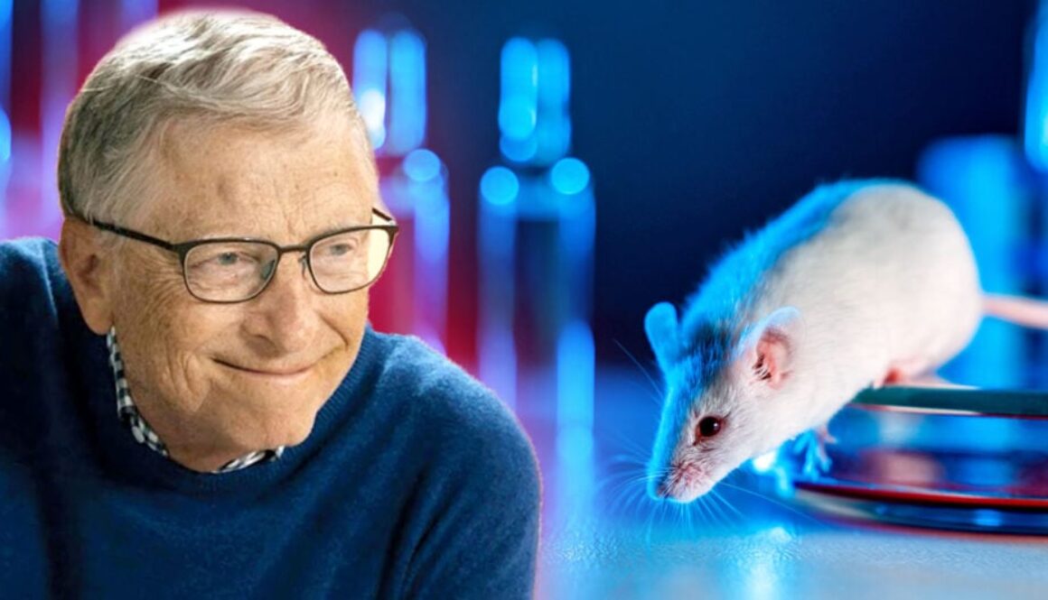 bill-gates-india-lab-rats-feature-1024x534