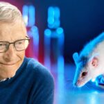 Mutant Rice and Lab Rats: Bill Gates Sparks Outrage After Referring to India as ‘Testing Ground’ for Experiments