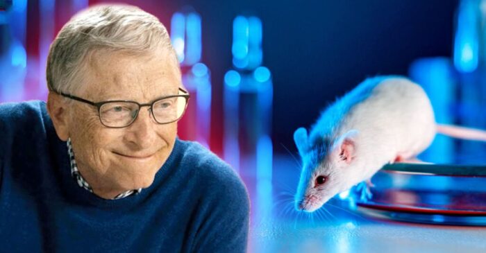 Mutant Rice and Lab Rats: Bill Gates Sparks Outrage After Referring to India as ‘Testing Ground’ for Experiments