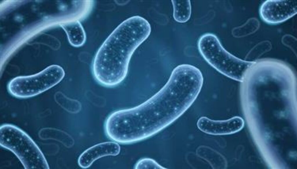 gut-microbiome-patterns-heart-attack-risk-thumbnail