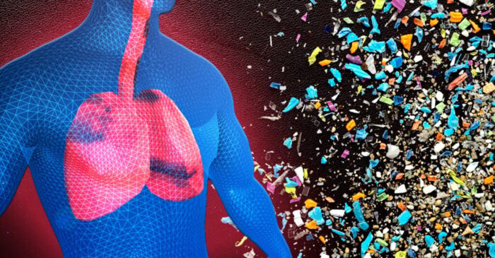 Microplastics Don’t Degrade — And Their Tiny Size Makes Them Dangerous