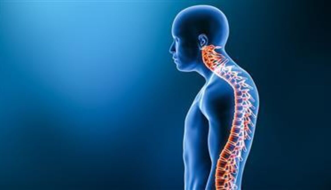 curved-back-kyphosis