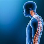 Why Do Some People Get a Curved Back as They Age and What Can I Do to Avoid It?