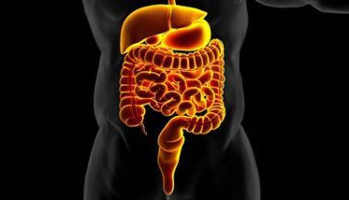 gut-inflammation-and-insulin-resistance-thumbnail
