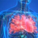 A Change in Diet Alone Already Benefits Your Cardiometabolic Health
