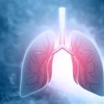Inhaled Microplastics Impair Lung Immunity and Spread to Organs