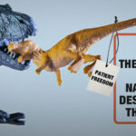 FDA Targets Natural Thyroid Meds Used By Millions