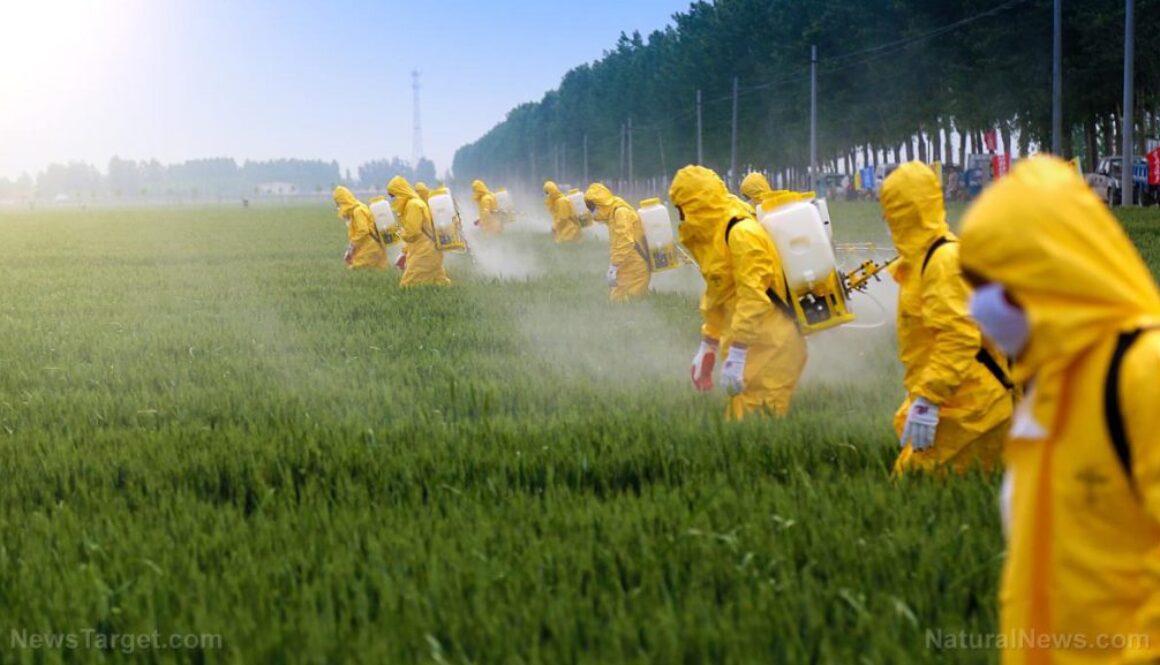 Pesticide-Spray-Agriculture-Farm-Farmer-Fertilizer-Field