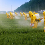 EPA plans to SPREAD CANCER by reapproving deadly DICAMBA HERBICIDE that the Fed Courts already banned twice