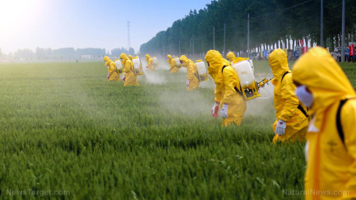 EPA plans to SPREAD CANCER by reapproving deadly DICAMBA HERBICIDE that the Fed Courts already banned twice
