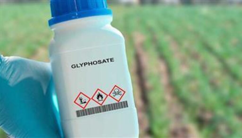 glyphosate-exposure-fatty-liver-disease-thumbnail